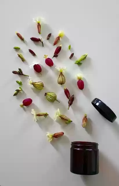 Free download Medicinal Flower Cure Ointment -  free photo or picture to be edited with GIMP online image editor