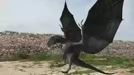 Free download Medieval Dragon Fire -  free video to be edited with OpenShot online video editor