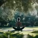 Meditate in the middle of nature  screen for extension Chrome web store in OffiDocs Chromium