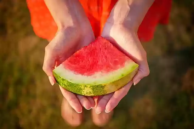 Free picture Melon Watermelon Fruit -  to be edited by GIMP free image editor by OffiDocs