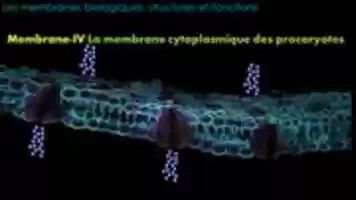 Free download Membrane-IV La membrane cytoplasmique des procaryotes free photo or picture to be edited with GIMP online image editor
