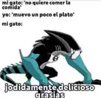 Free download Meme sobre gatos. free photo or picture to be edited with GIMP online image editor