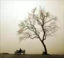 Free download Memoir By Valimar free photo or picture to be edited with GIMP online image editor