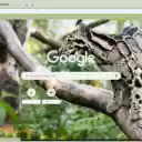 Meo Rung  screen for extension Chrome web store in OffiDocs Chromium