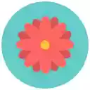 mesmeric scene 1600 x 1200  screen for extension Chrome web store in OffiDocs Chromium