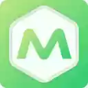 Metafields Guru  screen for extension Chrome web store in OffiDocs Chromium