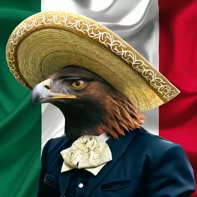 Free download Mexico Mexican Golden -  free photo or picture to be edited with GIMP online image editor
