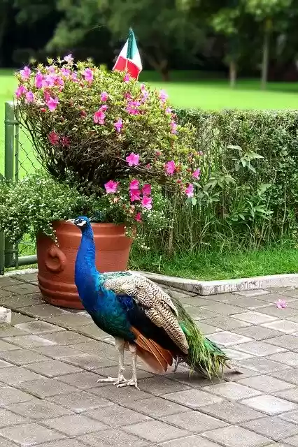 Free download Mexico Museum Architecture -  free photo or picture to be edited with GIMP online image editor