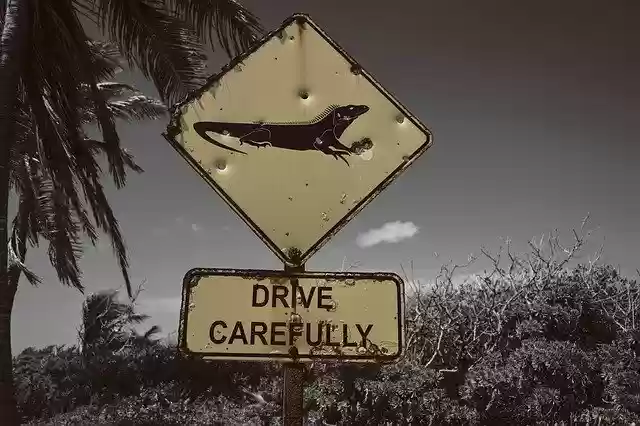 Free download Mexico Riviera Maya Tulum -  free photo or picture to be edited with GIMP online image editor