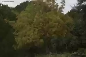 Free download MG 6845 free photo or picture to be edited with GIMP online image editor