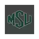 Écran vert de l'État du Michigan pour l'extension de la boutique en ligne Chrome dans OffiDocs Chromium