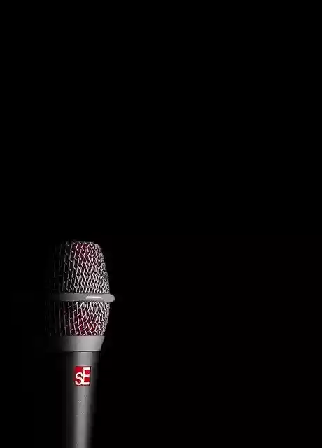 Free download Microphone Dynamic Tour -  free photo or picture to be edited with GIMP online image editor