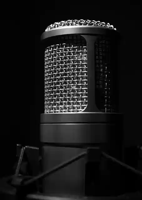 Free download microphone singing his song free picture to be edited with GIMP free online image editor