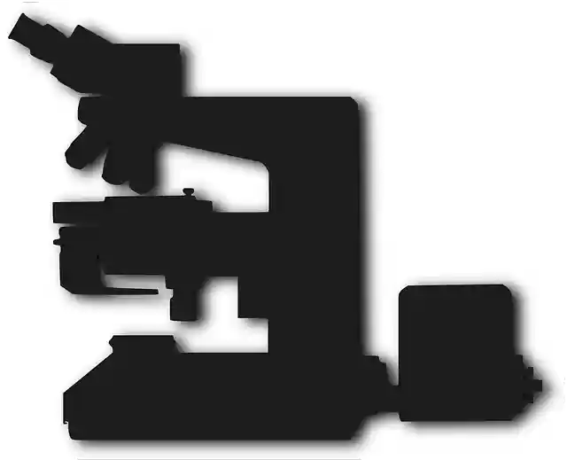Microscope Magnifying Slide - Free vector graphic
