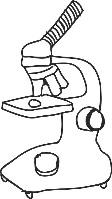 Free download Microscope The Look - Free vector graphic on Pixabay free illustration to be edited with GIMP free online image editor