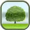 Mi cuaderno de campo  screen for extension Chrome web store in OffiDocs Chromium