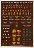 Free download Military Insignia Charts free photo or picture to be edited with GIMP online image editor