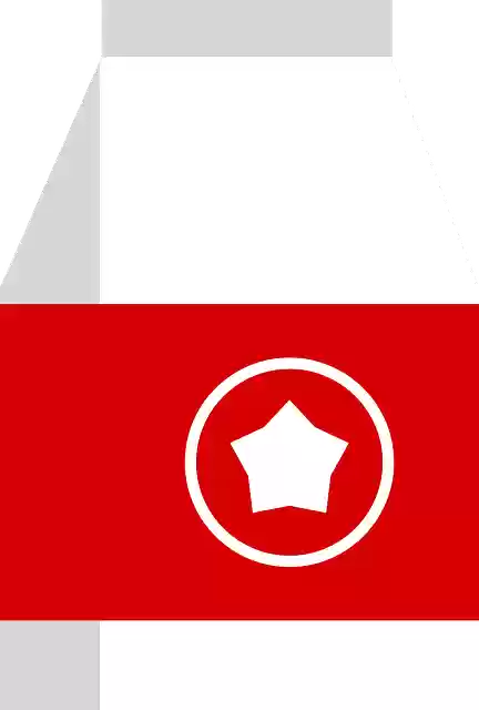 Free download Milk Carton Tetra - Free vector graphic on Pixabay free illustration to be edited with GIMP free online image editor