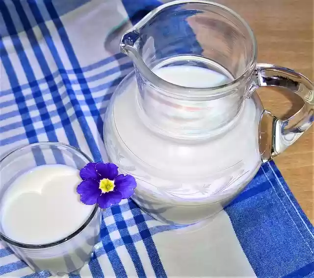 Free download milk glass glass jug drink free picture to be edited with GIMP free online image editor