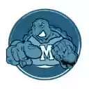 Millikan Theme  screen for extension Chrome web store in OffiDocs Chromium