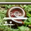 Millipede  screen for extension Chrome web store in OffiDocs Chromium