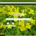 Mimulus  screen for extension Chrome web store in OffiDocs Chromium