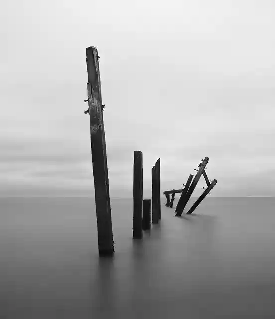 Free download Minimal Posts Decay -  free photo or picture to be edited with GIMP online image editor