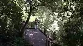 Free download Mirante Park Nature free video to be edited with OpenShot online video editor