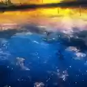 Mirrored Sky Reflection  screen for extension Chrome web store in OffiDocs Chromium