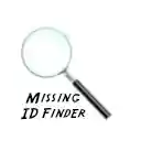 Missing HTML element ID finder  screen for extension Chrome web store in OffiDocs Chromium