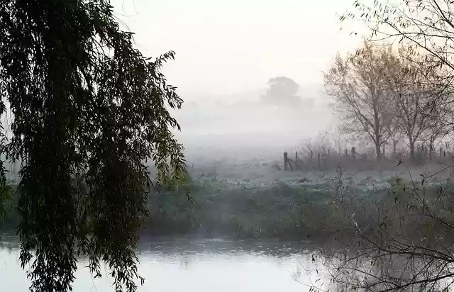 Free download Misty Morning Riverbank Mist -  free free photo or picture to be edited with GIMP online image editor