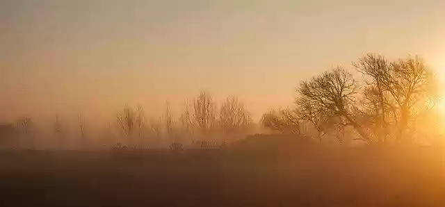 Free download Misty Morning Sunrise Sun Through -  free photo or picture to be edited with GIMP online image editor