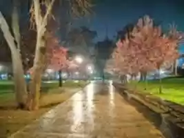 Free download mixbgufctuia free photo or picture to be edited with GIMP online image editor