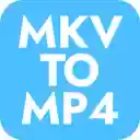 MKV to MP4  screen for extension Chrome web store in OffiDocs Chromium