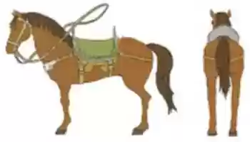 Free download Mocha Horse 2 free photo or picture to be edited with GIMP online image editor