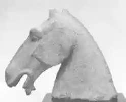 Free download Model of  Horses Head free photo or picture to be edited with GIMP online image editor