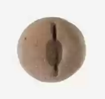 Free download Mold for Small Ovoid Bead free photo or picture to be edited with GIMP online image editor