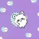 Momonga Chiikawa Live Wallpaper  screen for extension Chrome web store in OffiDocs Chromium