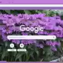 Monarda  screen for extension Chrome web store in OffiDocs Chromium