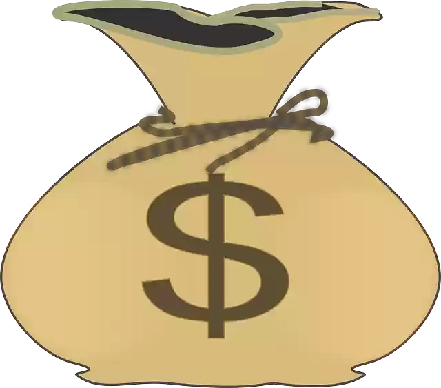 Free download Money Bag Cash - Free vector graphic on Pixabay free illustration to be edited with GIMP free online image editor