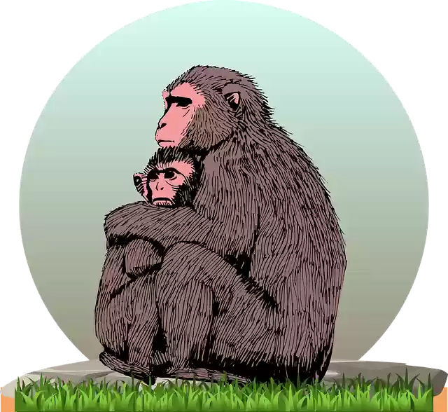 Free download Monkey With Cub - Free vector graphic on Pixabay free illustration to be edited with GIMP free online image editor