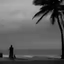 Monochrome Photo of Person Standing on Seashore  screen for extension Chrome web store in OffiDocs Chromium