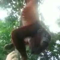 Free download mono free photo or picture to be edited with GIMP online image editor