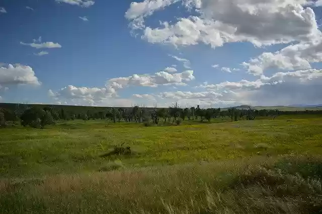 Free download Montana Northern Plains -  free photo template to be edited with GIMP online image editor