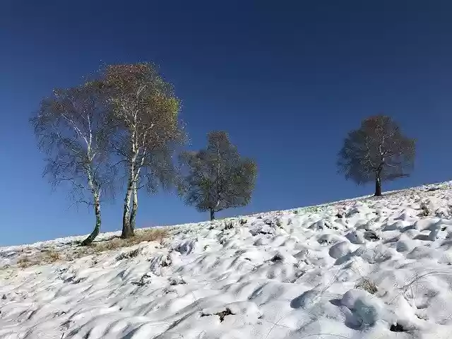 Free download Monte Cadrigna Alpine Route Alps -  free free photo or picture to be edited with GIMP online image editor