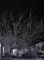 Free download Monterey 2008 free photo or picture to be edited with GIMP online image editor