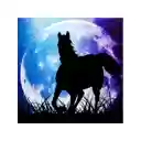 Moon Horse 2 1366x768  screen for extension Chrome web store in OffiDocs Chromium