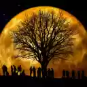 Moonlight party  screen for extension Chrome web store in OffiDocs Chromium