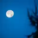 Moonlit night without stars  screen for extension Chrome web store in OffiDocs Chromium