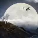 Moon Wolf  screen for extension Chrome web store in OffiDocs Chromium